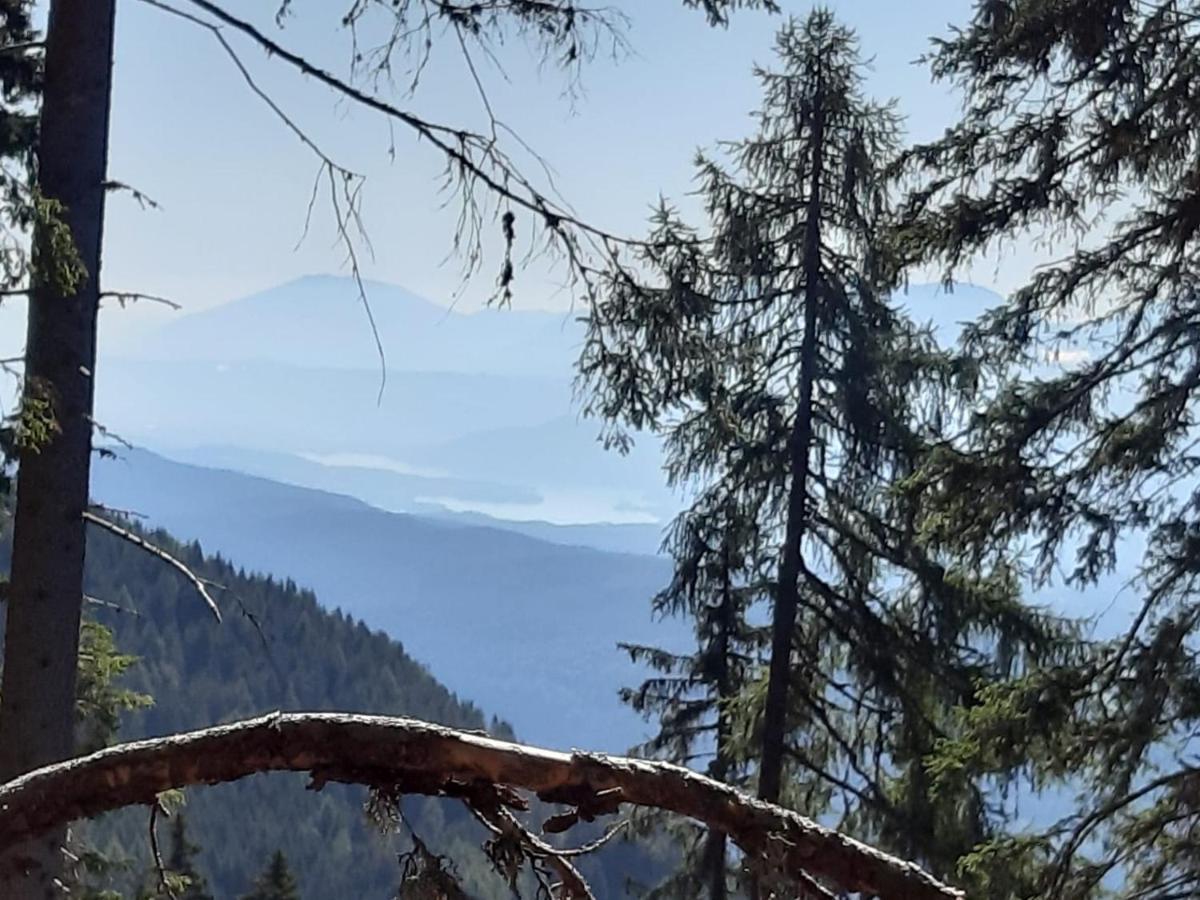 Almhaus Florian Daire Treffen Dış mekan fotoğraf